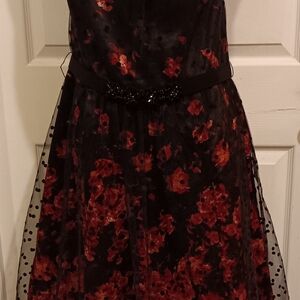 Carmen Marc Valvo Black and Red Floral Kids Dress.